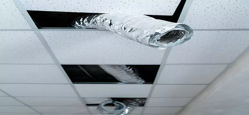 Our Air Duct Pet Hair Removal Services in Baldwin Park, CA