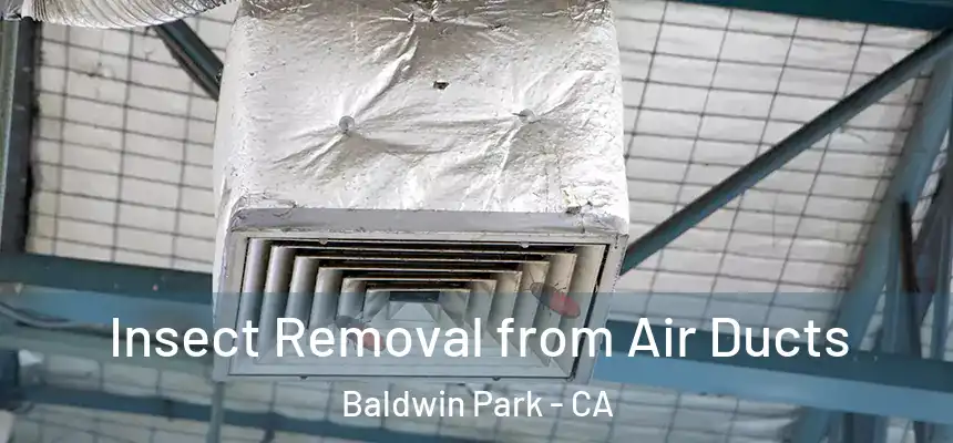  Insect Removal from Air Ducts Baldwin Park - CA