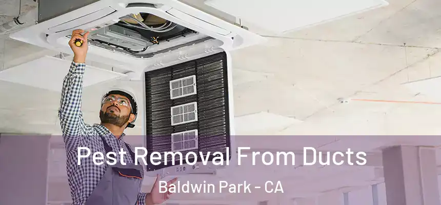  Pest Removal From Ducts Baldwin Park - CA
