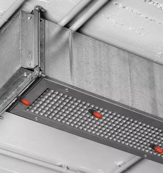 Affordable Insect Removal from Air Ducts in Baldwin Park, CA